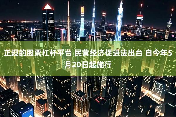 正规的股票杠杆平台 民营经济促进法出台 自今年5月20日起施行